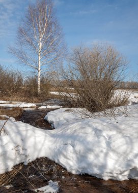 Brook bahar. güneşli bir bahar brooks suda eriyen doku. nehir dere dere. Bahar Nehri üzerinde buz erime. 