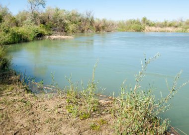 Bozkır nehir sazlık yaz. nehir görünümünde kez izlendi. küçük mavi nehir kıyısında güneşli bir gün