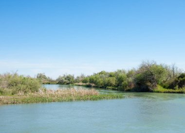 Bozkır nehir sazlık yaz. nehir görünümünde kez izlendi. küçük mavi nehir kıyısında güneşli bir gün