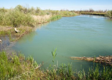 Bozkır nehir sazlık yaz. nehir görünümünde kez izlendi. küçük mavi nehir kıyısında güneşli bir gün
