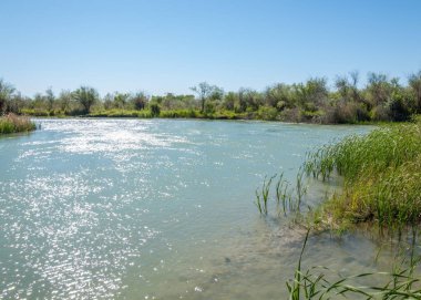 Bozkır nehir sazlık yaz. nehir görünümünde kez izlendi. küçük mavi nehir kıyısında güneşli bir gün