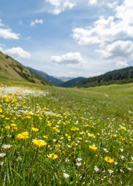 dağ, dağ, tepe. Kazakistan. Tien Shan. Takma Yaylası