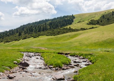 dağ, dağ, tepe. Kazakistan. Tien Shan. Takma Yaylası