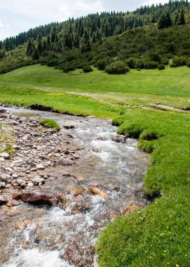 dağ, dağ, tepe. Kazakistan. Tien Shan. Takma Yaylası