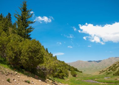 dağ, dağ, tepe. Kazakistan. Tien Shan. Takma Yaylası
