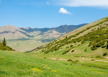 dağ, dağ, tepe. Kazakistan. Tien Shan. Takma Yaylası
