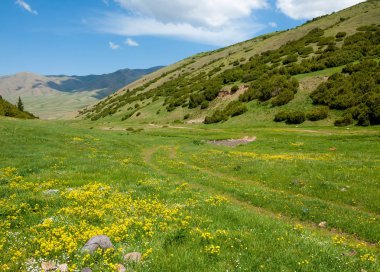 dağ, dağ, tepe. Kazakistan. Tien Shan. Takma Yaylası