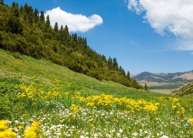 dağ, dağ, tepe. Kazakistan. Tien Shan. Takma Yaylası