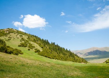 dağ, dağ, tepe. Kazakistan. Tien Shan. Takma Yaylası