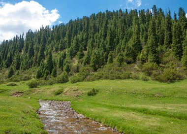 dağ, dağ, tepe. Kazakistan. Tien Shan. Takma Yaylası