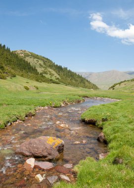 dağ, dağ, tepe. Kazakistan. Tien Shan. Takma Yaylası