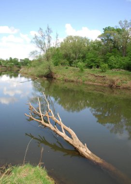 bahar Nehri. Nehir ve bahar orman. Doğa kompozisyon. Bahar Nehri bulutlarda yansımanın. Ağaçlar ilkbaharda bir nehir kıyısında