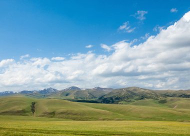 dağ, dağ, tepe. Kazakistan. Tien Shan. Takma Yaylası
