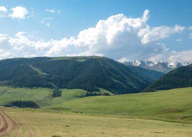 dağ, dağ, tepe. Kazakistan. Tien Shan. Takma Yaylası