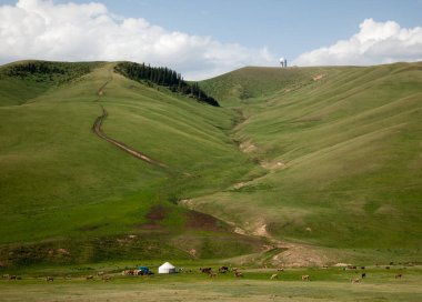dağ, dağ, tepe. Kazakistan. Tien Shan. Takma Yaylası