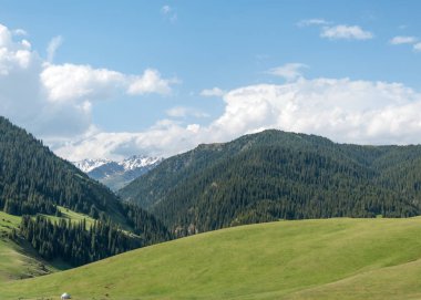 dağ, dağ, tepe. Kazakistan. Tien Shan. Takma Yaylası
