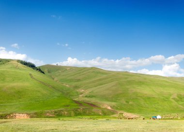 dağ, dağ, tepe. Kazakistan. Tien Shan. Takma Yaylası