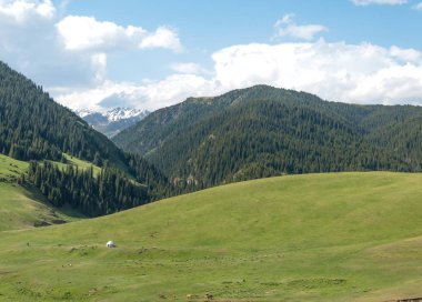 dağ, dağ, tepe. Kazakistan. Tien Shan. Takma Yaylası