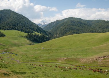 dağ, dağ, tepe. Kazakistan. Tien Shan. Takma Yaylası