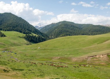 dağ, dağ, tepe. Kazakistan. Tien Shan. Takma Yaylası