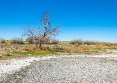 Saline, tuz bataklığı
