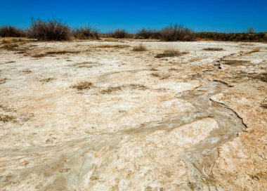 tuzlu su, tuz bataklığı. Etkin badlands. Tek çalı. Kazakistan