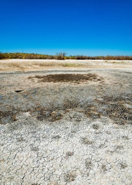 tuzlu su, tuz bataklığı. Etkin badlands. Tek çalı. Kazakistan