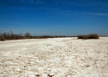 tuzlu su, tuz bataklığı. Etkin badlands. Tek çalı. Kazakistan