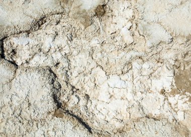 tuzlu su, tuz bataklığı. Etkin badlands. Tek çalı. Kazakistan