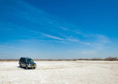 tuzlu su, tuz bataklığı. Etkin badlands. Tek çalı. Kazakistan