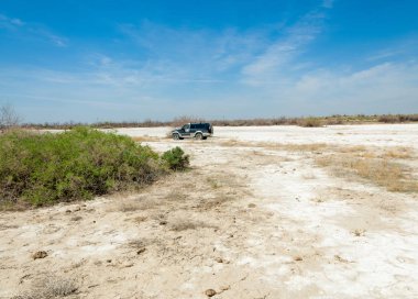 tuzlu su, tuz bataklığı. Etkin badlands. Tek çalı. Kazakistan