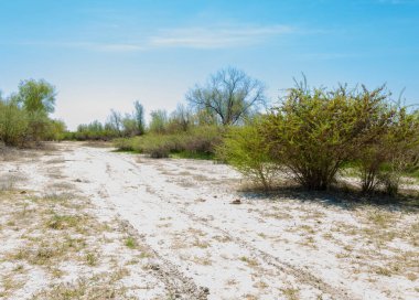 tuzlu su, tuz bataklığı. Etkin badlands. Tek çalı. Kazakistan