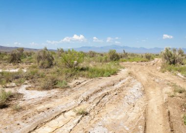  Bozkır yaz. Turgai kapısı. Turgai Kaydet. Milli Parkı 