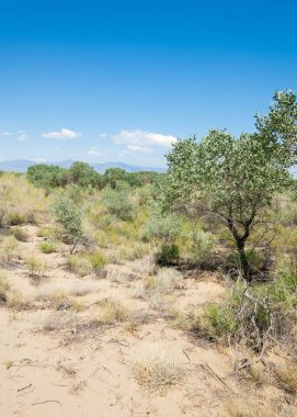 Bozkır yaz. Turgai kapısı. Turgai Kaydet. Milli Parkı 