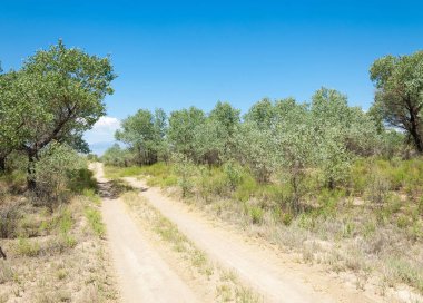  Bozkır yaz. Turgai kapısı. Turgai Kaydet. Milli Parkı 