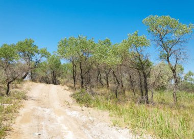  Bozkır yaz. Turgai kapısı. Turgai Kaydet. Milli Parkı 