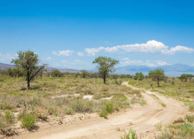  Bozkır yaz. Turgai kapısı. Turgai Kaydet. Milli Parkı 