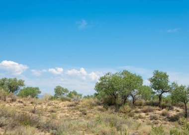  Bozkır yaz. Turgai kapısı. Turgai Kaydet. Milli Parkı 
