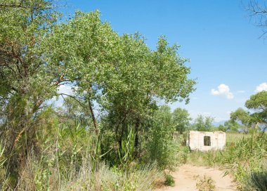  Bozkır yaz. Turgai kapısı. Turgai Kaydet. Milli Parkı 