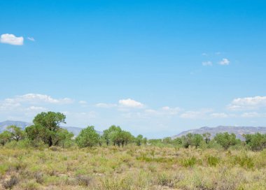  Bozkır yaz. Turgai kapısı. Turgai Kaydet. Milli Parkı 