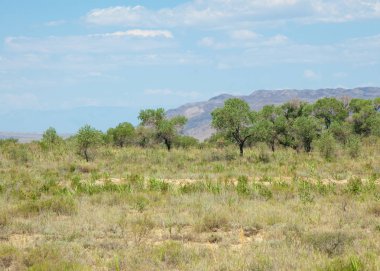  Bozkır yaz. Turgai kapısı. Turgai Kaydet. Milli Parkı 