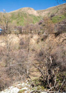 dağ bahar. Kazakistan. Tien Shan. Dağ manzaralı güzel manzara.