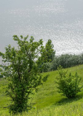 Yaz nehir. Yüksek Rock. Mavi gökyüzü. güzel sahne
