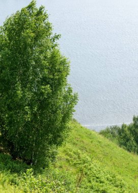 Yaz nehir. Yüksek Rock. Mavi gökyüzü. güzel sahne