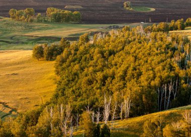 huş ağacı orman manzaralı dağ (gündoğumu gün batımında üzerinden)