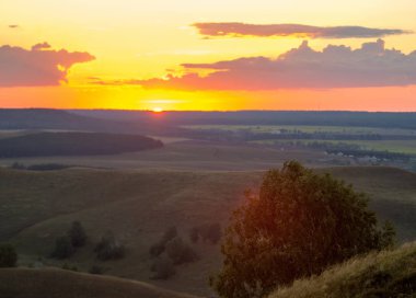 sisli gündoğumu. Orman sis. ışıkları orman. Güneş ışınları ve uzun gölgeler sahip çok güzel bir sabah sahne