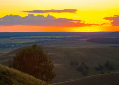 sisli gündoğumu. Orman sis. ışıkları orman. Güneş ışınları ve uzun gölgeler sahip çok güzel bir sabah sahne