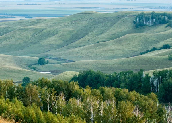 sisli gündoğumu. Orman sis. ışıkları orman. Güneş ışınları ve uzun gölgeler sahip çok güzel bir sabah sahne