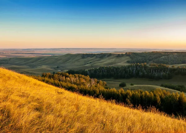 sisli gündoğumu. Orman sis. ışıkları orman. Güneş ışınları ve uzun gölgeler sahip çok güzel bir sabah sahne