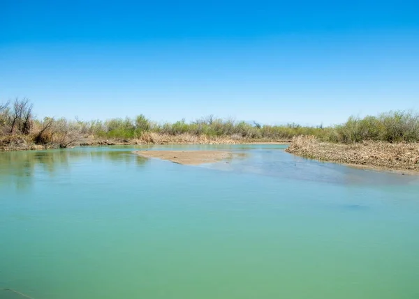 Canne Del Fiume Steppa Estate Vista Nel Panorama Del Fiume — Foto Stock